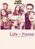 La vida en piezas (Life in Pieces) 2X09 [720p]